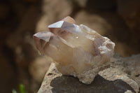 Natural Red Hematoid Quartz Specimens x 24 From Karoi, Zimbabwe - Toprock Gemstones and Minerals 