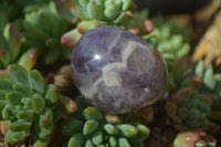 Polished Dream Amethyst Galet / Palm Stones x 12 From Ambatondrazaka, Madagascar