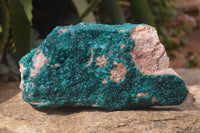 Natural Extra Large Emerald Dioptase Dolomite Specimen  x 1 From Likasi, Congo