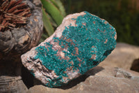 Natural Extra Large Emerald Dioptase Dolomite Specimen  x 1 From Likasi, Congo