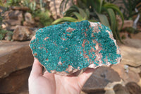 Natural Extra Large Emerald Dioptase Dolomite Specimen  x 1 From Likasi, Congo