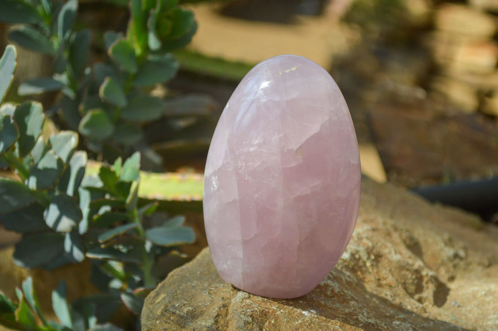 Polished Pink Rose Quartz Standing Free Forms x 6 From Madagascar - Toprock Gemstones and Minerals 