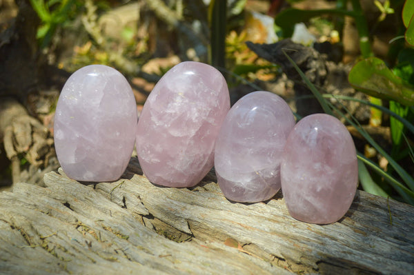 Polished Pink Rose Quartz Standing Free Forms x 6 From Madagascar - Toprock Gemstones and Minerals 
