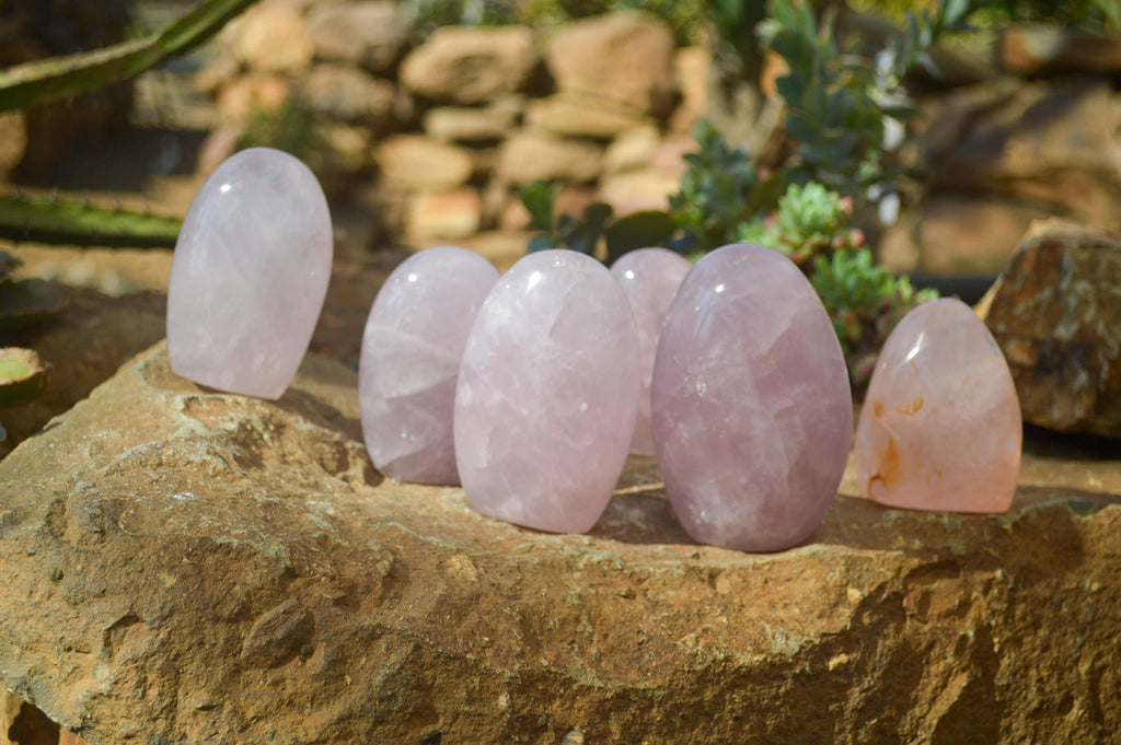 Polished Pink Rose Quartz Standing Free Forms x 6 From Madagascar - Toprock Gemstones and Minerals 