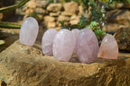 Polished Pink Rose Quartz Standing Free Forms x 6 From Madagascar - Toprock Gemstones and Minerals 