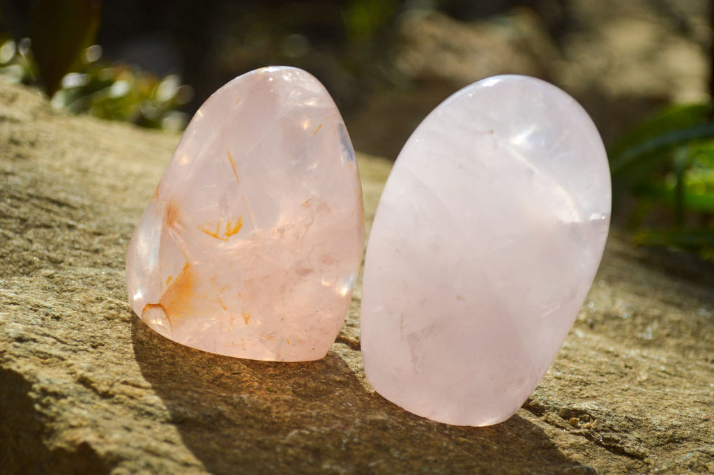 Polished Pink Rose Quartz Standing Free Forms x 6 From Madagascar - Toprock Gemstones and Minerals 