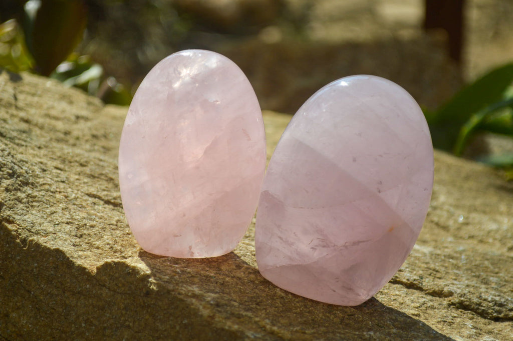 Polished Pink Rose Quartz Standing Free Forms x 6 From Madagascar - Toprock Gemstones and Minerals 