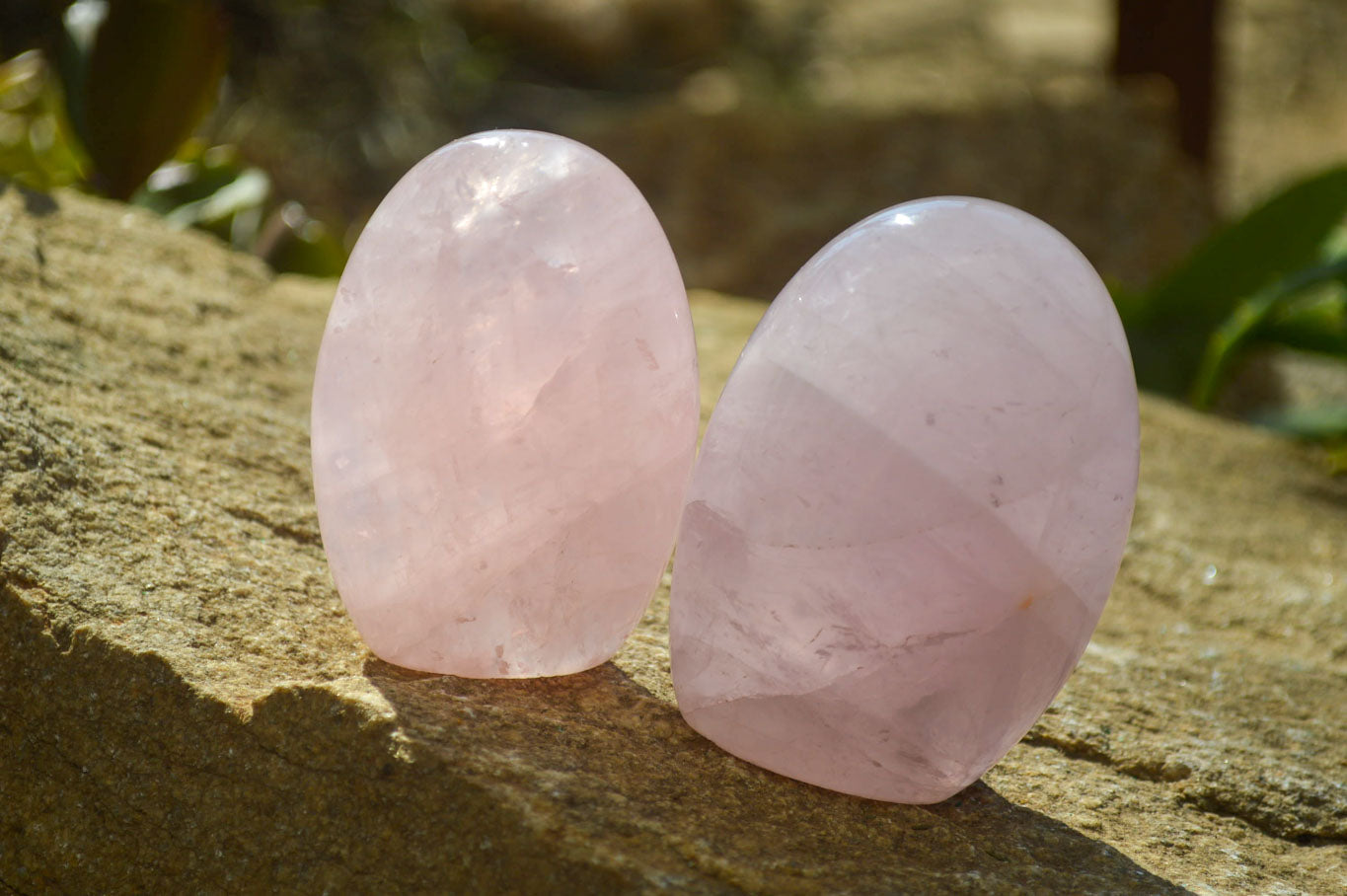 Polished Pink Rose Quartz Standing Free Forms x 6 From Madagascar - Toprock Gemstones and Minerals 
