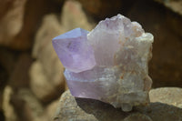 Natural Jacaranda Amethyst Clusters x 6 From Mumbwa, Zambia - Toprock Gemstones and Minerals 