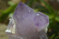 Natural Jacaranda Amethyst Clusters x 6 From Mumbwa, Zambia - Toprock Gemstones and Minerals 