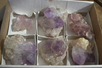 Natural Jacaranda Amethyst Clusters x 6 From Mumbwa, Zambia - Toprock Gemstones and Minerals 