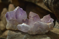 Natural Jacaranda Amethyst Clusters x 6 From Mumbwa, Zambia - Toprock Gemstones and Minerals 