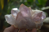 Natural Jacaranda Amethyst Clusters x 6 From Mumbwa, Zambia - Toprock Gemstones and Minerals 