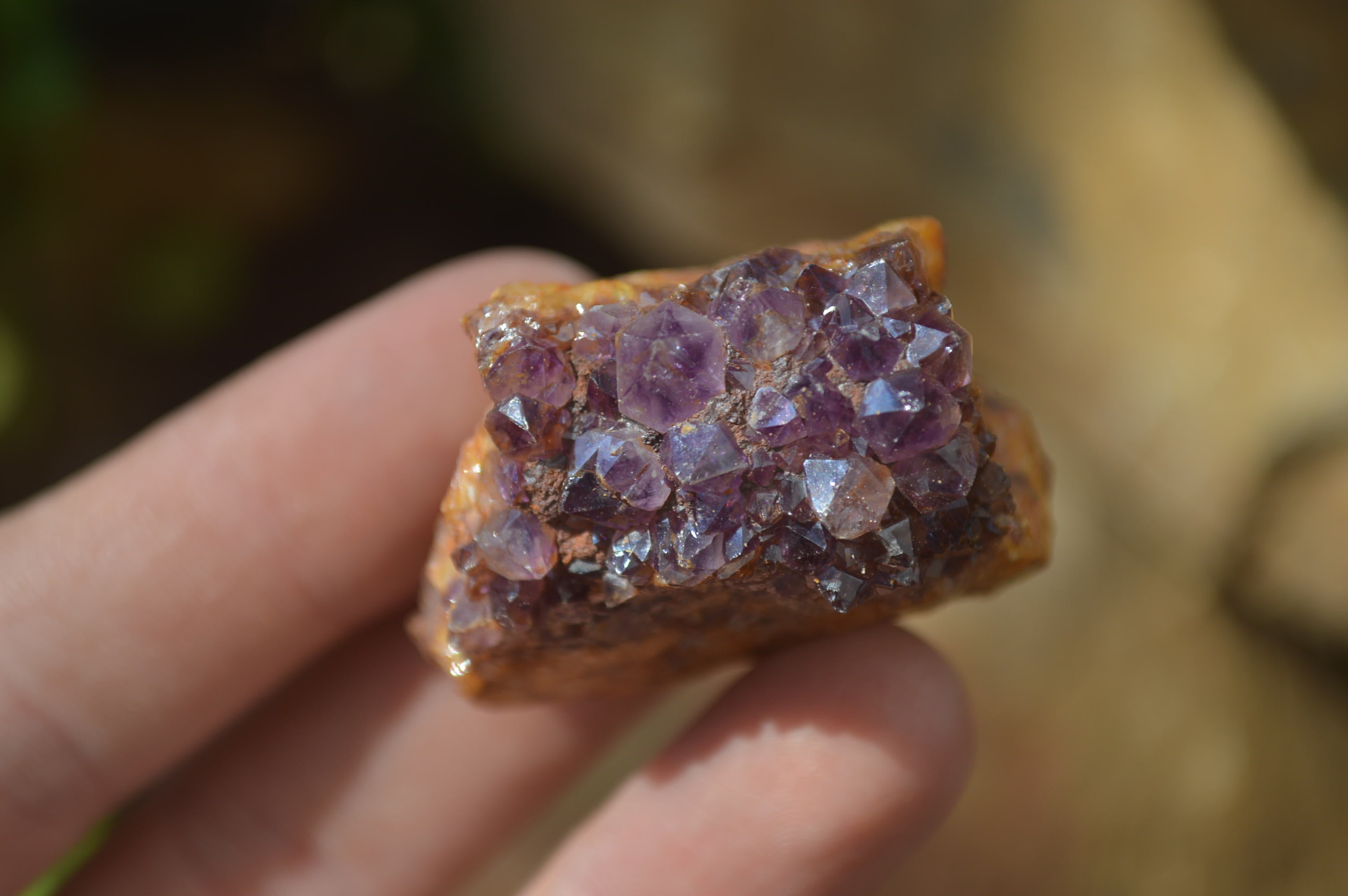 Natural Dark Amethyst Clusters x 35 From Kwaggafontein, South Africa - Toprock Gemstones and Minerals 