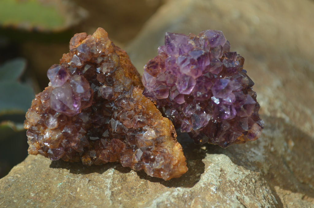 Natural Dark Amethyst Clusters x 35 From Kwaggafontein, South Africa - Toprock Gemstones and Minerals 