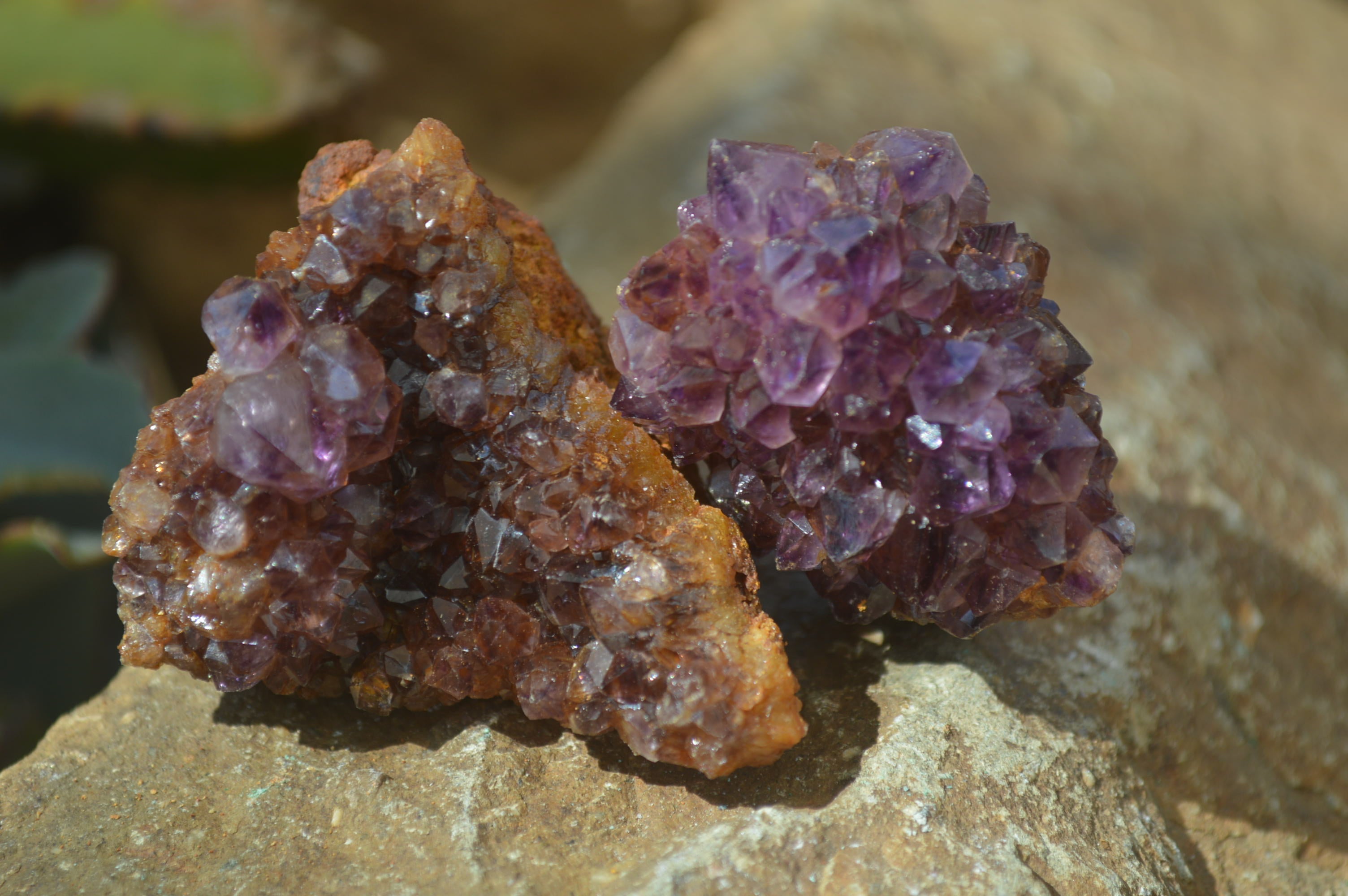 Natural Dark Amethyst Clusters x 35 From Kwaggafontein, South Africa - Toprock Gemstones and Minerals 