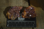 Natural Dark Amethyst Clusters x 35 From Kwaggafontein, South Africa - Toprock Gemstones and Minerals 