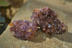 Natural Dark Amethyst Clusters x 35 From Kwaggafontein, South Africa - Toprock Gemstones and Minerals 