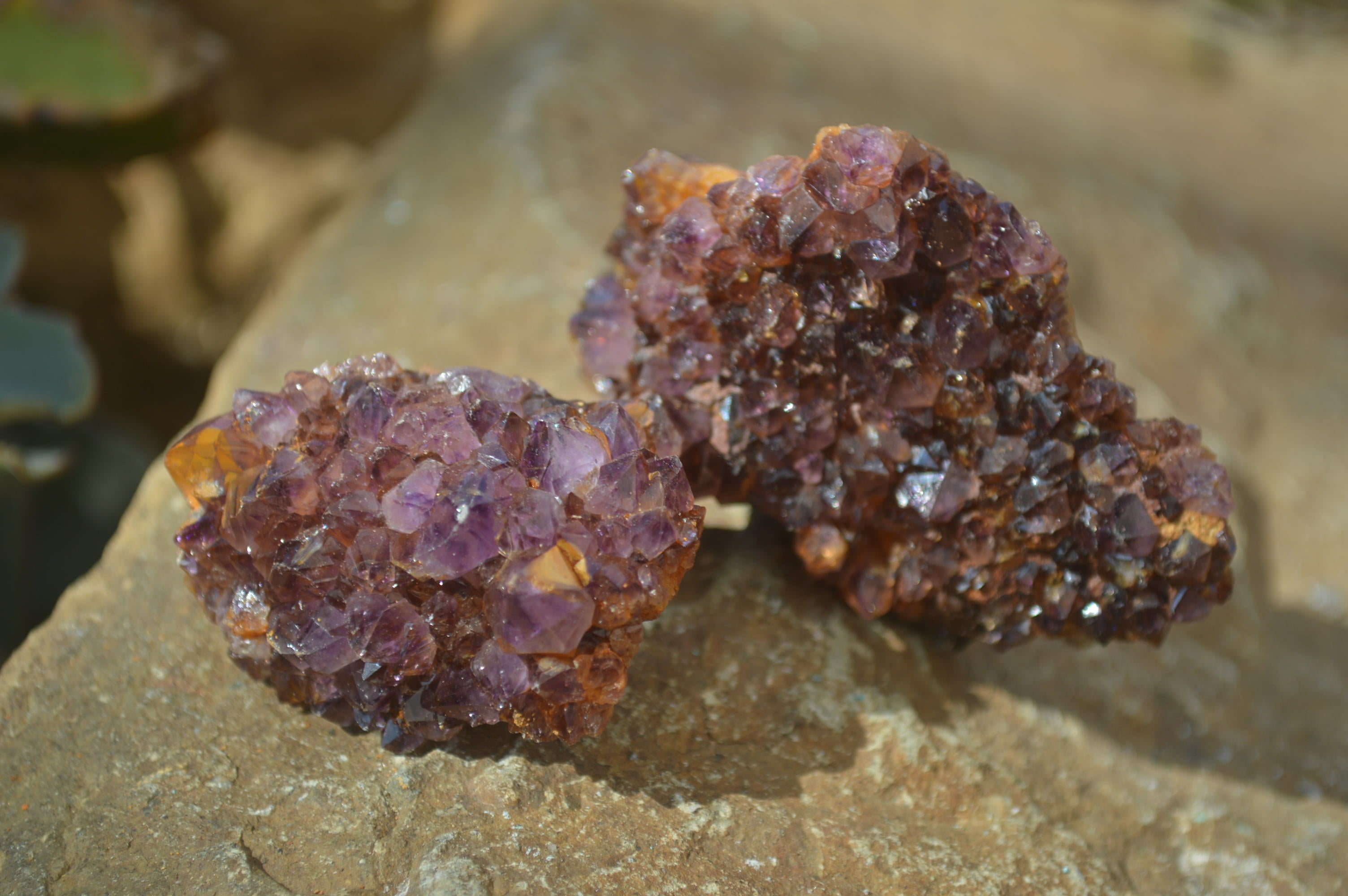 Natural Dark Amethyst Clusters x 35 From Kwaggafontein, South Africa - Toprock Gemstones and Minerals 