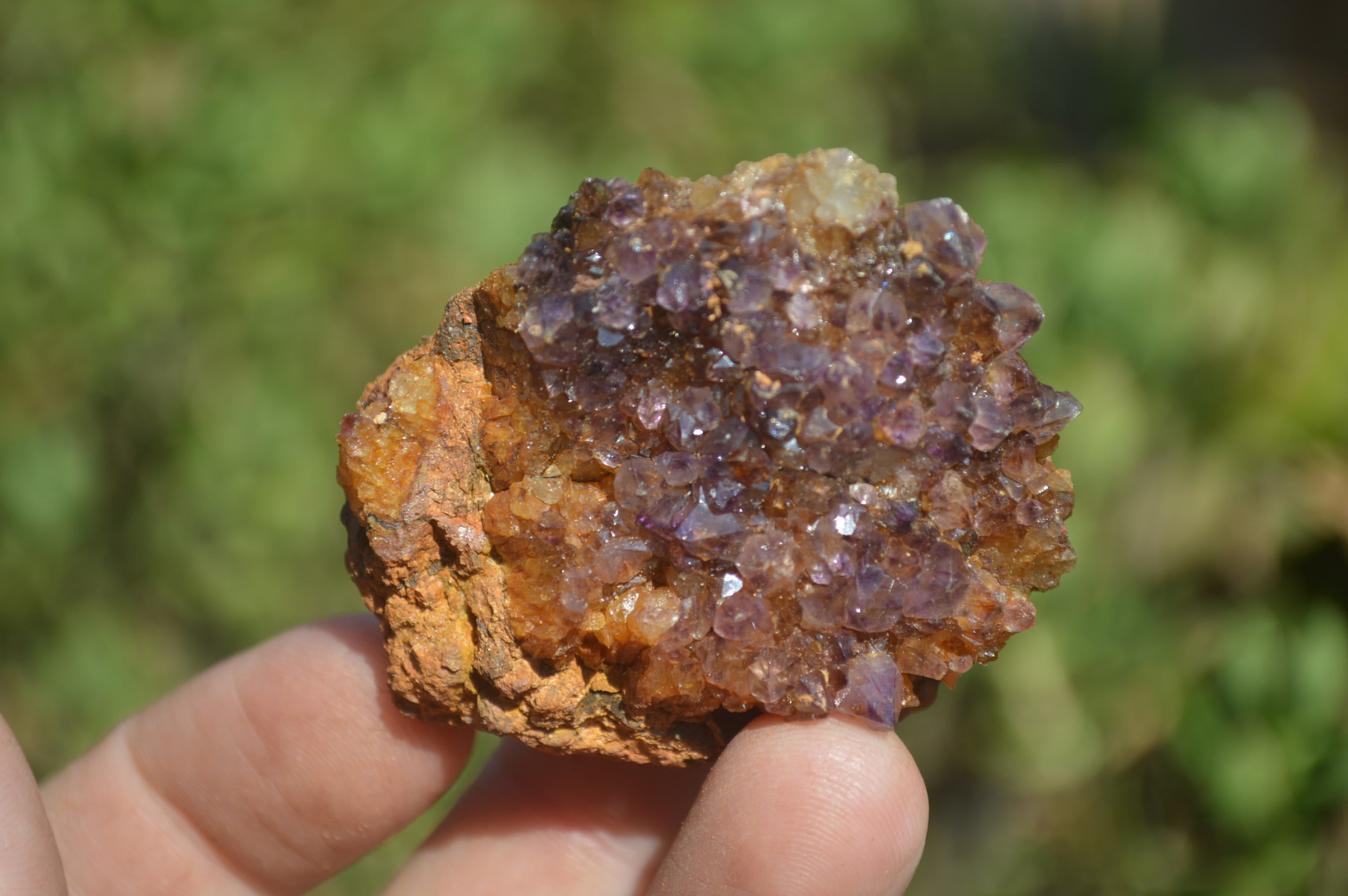 Natural Dark Amethyst Clusters x 35 From Kwaggafontein, South Africa - Toprock Gemstones and Minerals 
