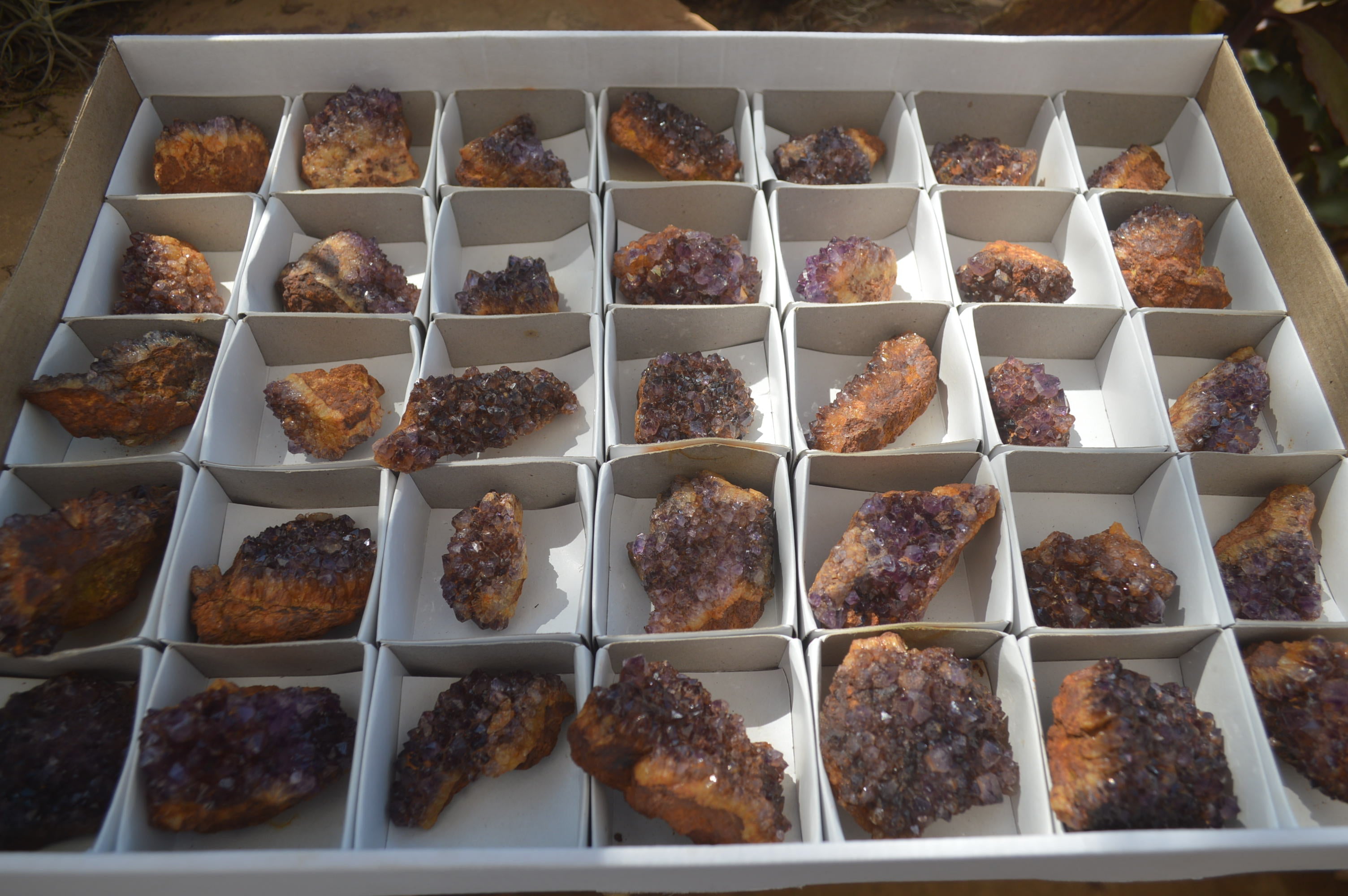 Natural Dark Amethyst Clusters x 35 From Kwaggafontein, South Africa - Toprock Gemstones and Minerals 