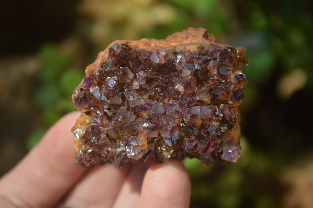 Natural Dark Amethyst Clusters x 35 From Kwaggafontein, South Africa - Toprock Gemstones and Minerals 