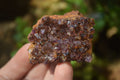 Natural Dark Amethyst Clusters x 35 From Kwaggafontein, South Africa - Toprock Gemstones and Minerals 