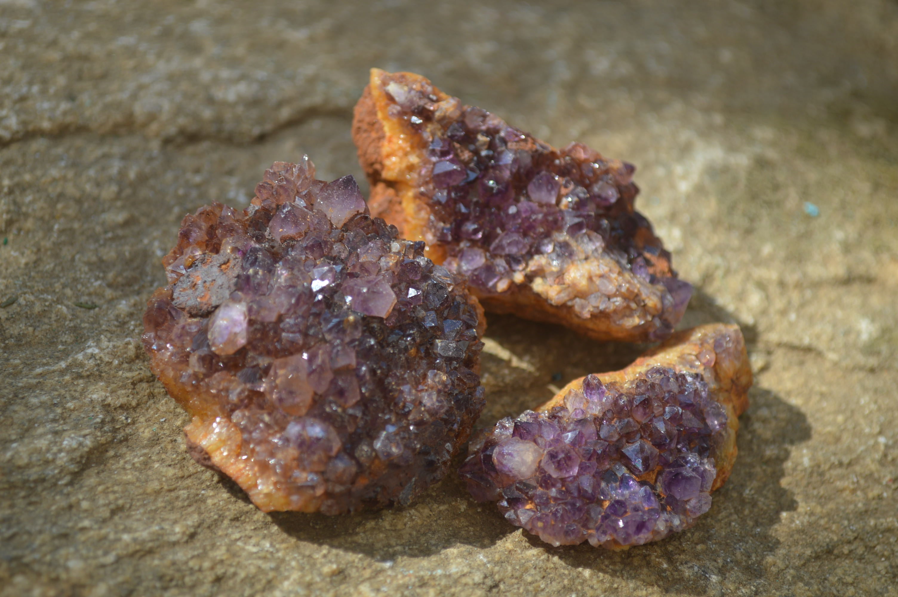 Natural Dark Amethyst Clusters x 35 From Kwaggafontein, South Africa - Toprock Gemstones and Minerals 