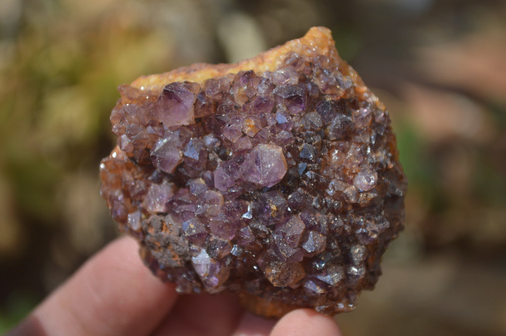 Natural Dark Amethyst Clusters x 35 From Kwaggafontein, South Africa - Toprock Gemstones and Minerals 