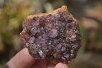 Natural Dark Amethyst Clusters x 35 From Kwaggafontein, South Africa - Toprock Gemstones and Minerals 