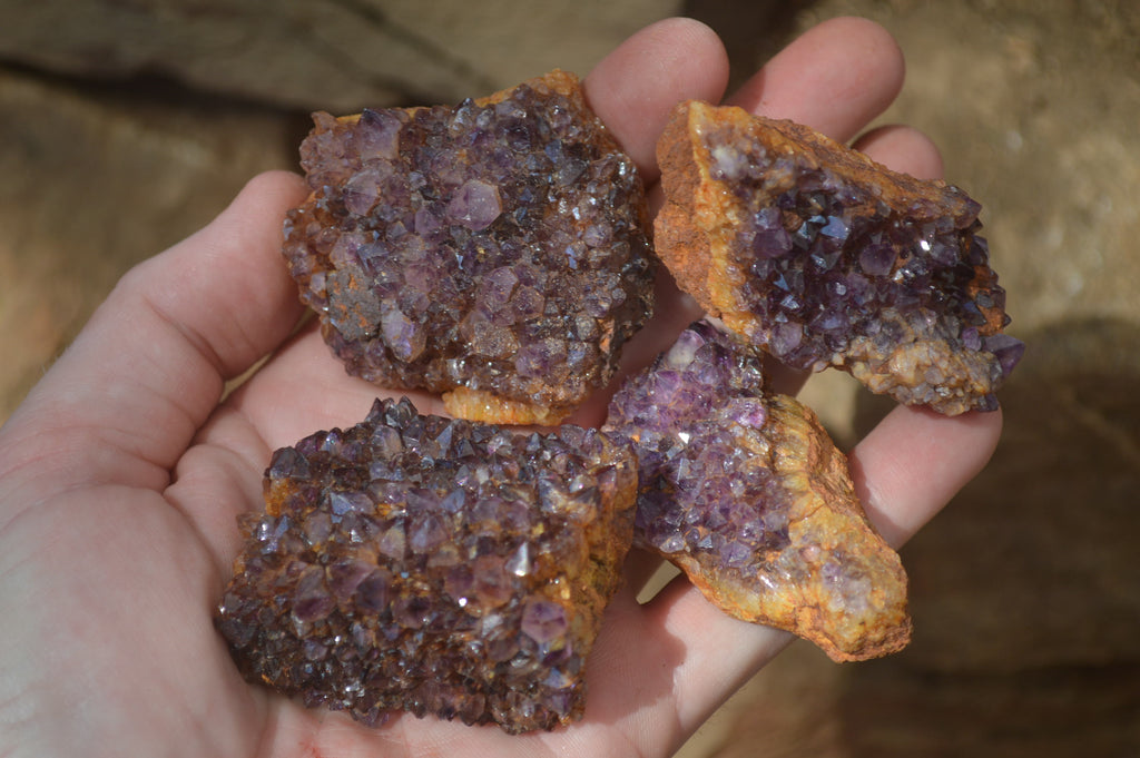 Natural Dark Amethyst Clusters x 35 From Kwaggafontein, South Africa - Toprock Gemstones and Minerals 