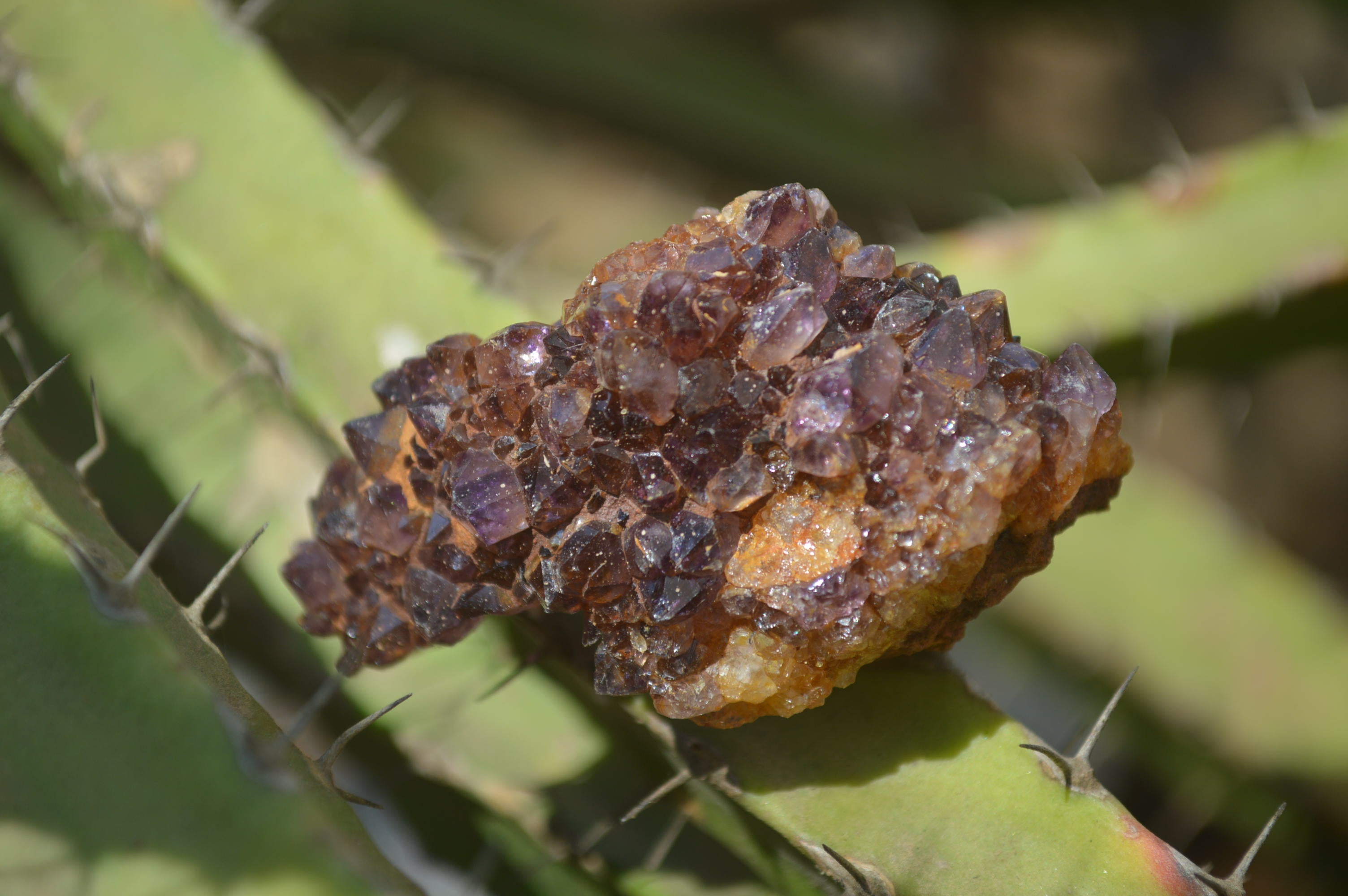 Natural Dark Amethyst Clusters x 35 From Kwaggafontein, South Africa - Toprock Gemstones and Minerals 