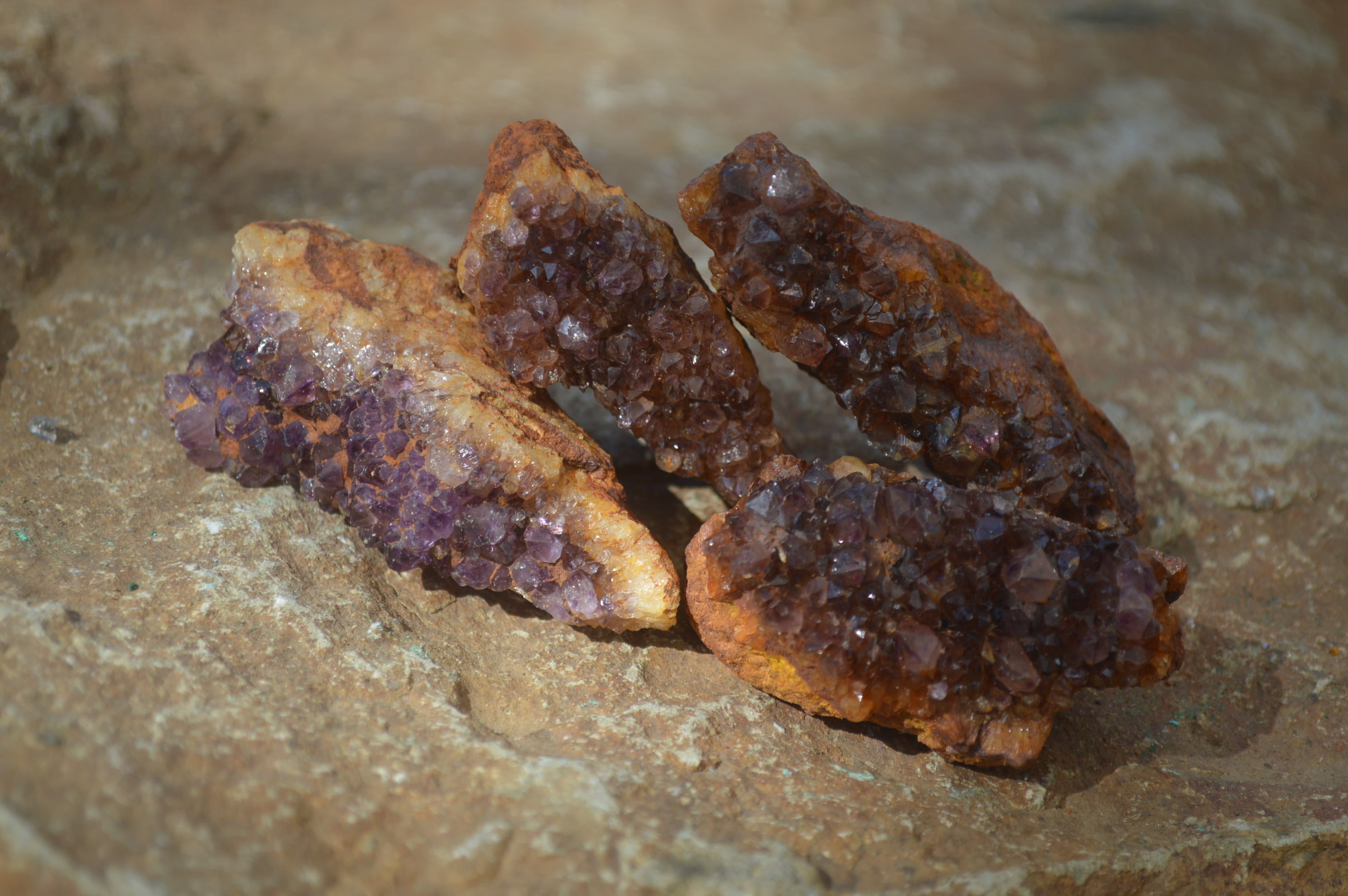 Natural Dark Amethyst Clusters x 35 From Kwaggafontein, South Africa - Toprock Gemstones and Minerals 