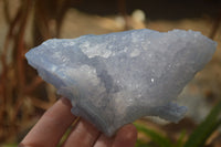 Natural Etched Blue Chalcedony Specimens  x 3 From Malawi - Toprock Gemstones and Minerals 
