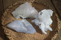 Natural Etched Blue Chalcedony Specimens  x 3 From Malawi - Toprock Gemstones and Minerals 