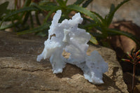 Natural Etched Blue Chalcedony Specimens  x 3 From Malawi - Toprock Gemstones and Minerals 