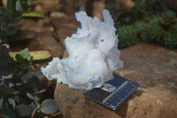 Natural Etched Blue Chalcedony Specimens  x 3 From Malawi - Toprock Gemstones and Minerals 
