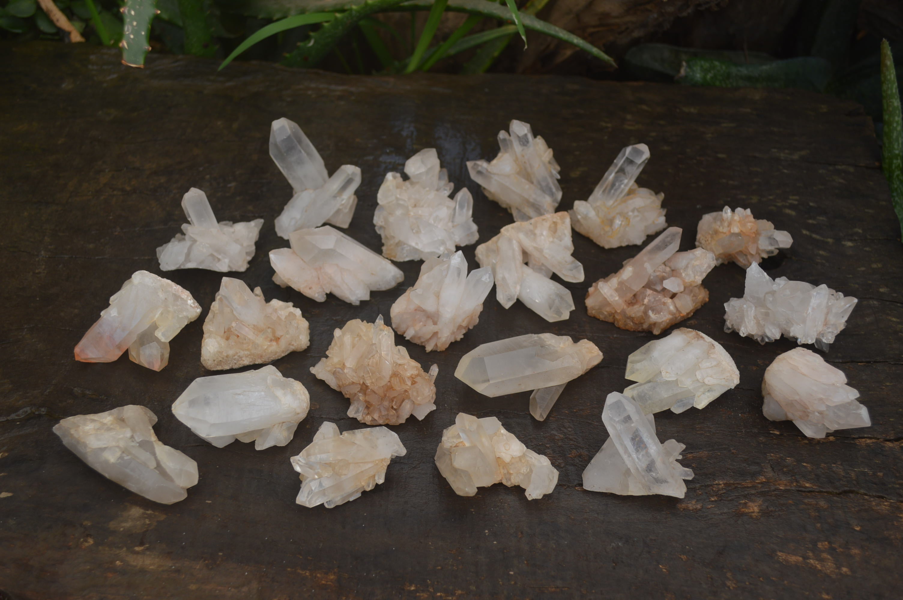 Natural Mini Quartz Clusters  x 35 From Madagascar - Toprock Gemstones and Minerals 