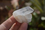 Natural Mini Quartz Clusters  x 35 From Madagascar - Toprock Gemstones and Minerals 