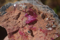 Natural Pink Salrose Cobaltion Dolomite Specimens x 6 From Kakanda, Congo - Toprock Gemstones and Minerals 
