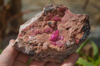 Natural Pink Salrose Cobaltion Dolomite Specimens x 6 From Kakanda, Congo - Toprock Gemstones and Minerals 