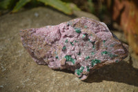 Natural Pink Salrose Cobaltion Dolomite Specimens x 6 From Kakanda, Congo - Toprock Gemstones and Minerals 