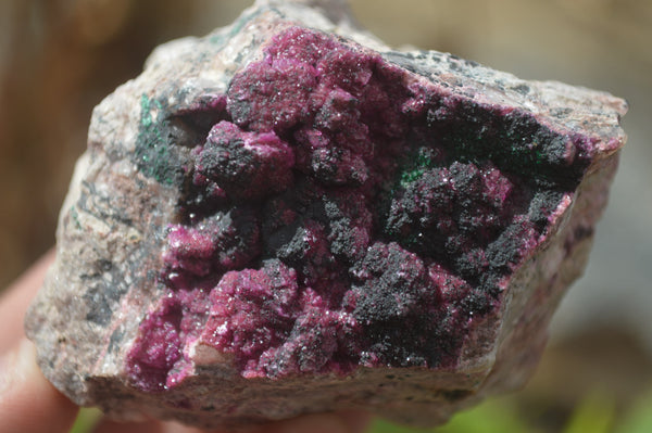 Natural Pink Salrose Cobaltion Dolomite Specimens x 6 From Kakanda, Congo - Toprock Gemstones and Minerals 