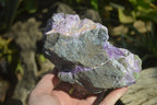 Natural Rough Stichtite & Serpentine Specimens x 2 From Barberton, South Africa - Toprock Gemstones and Minerals 