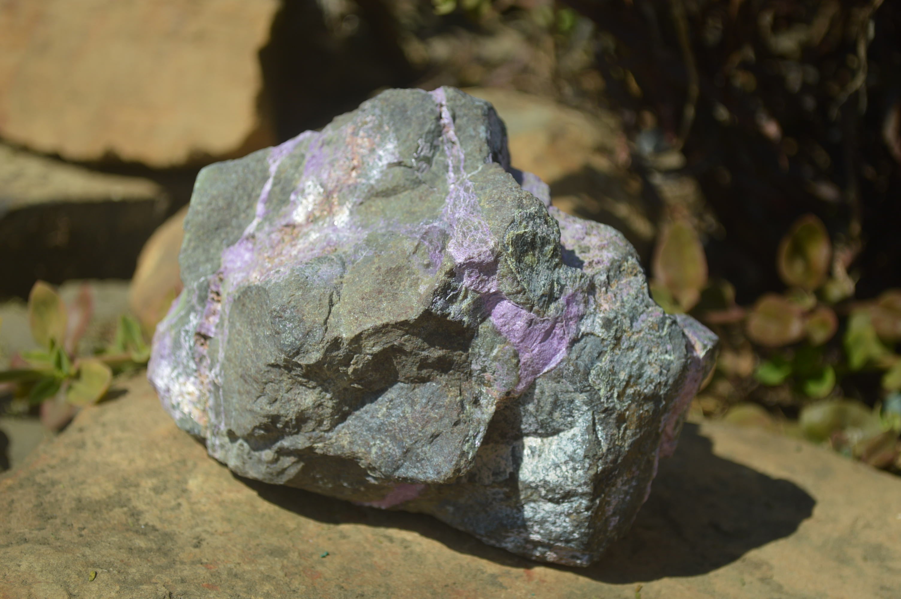 Natural Rough Stichtite & Serpentine Specimens x 2 From Barberton, South Africa - Toprock Gemstones and Minerals 