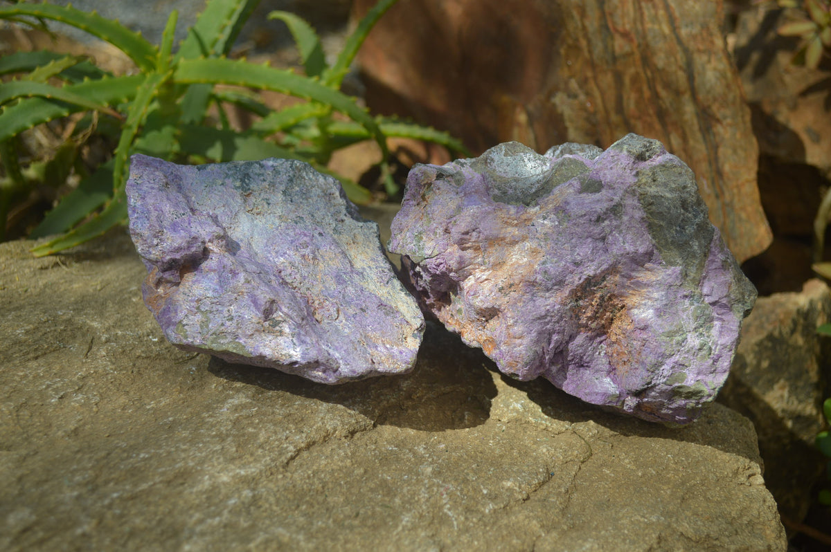 Natural Rough Stichtite & Serpentine Specimens x 2 From Barberton, South Africa - Toprock Gemstones and Minerals 