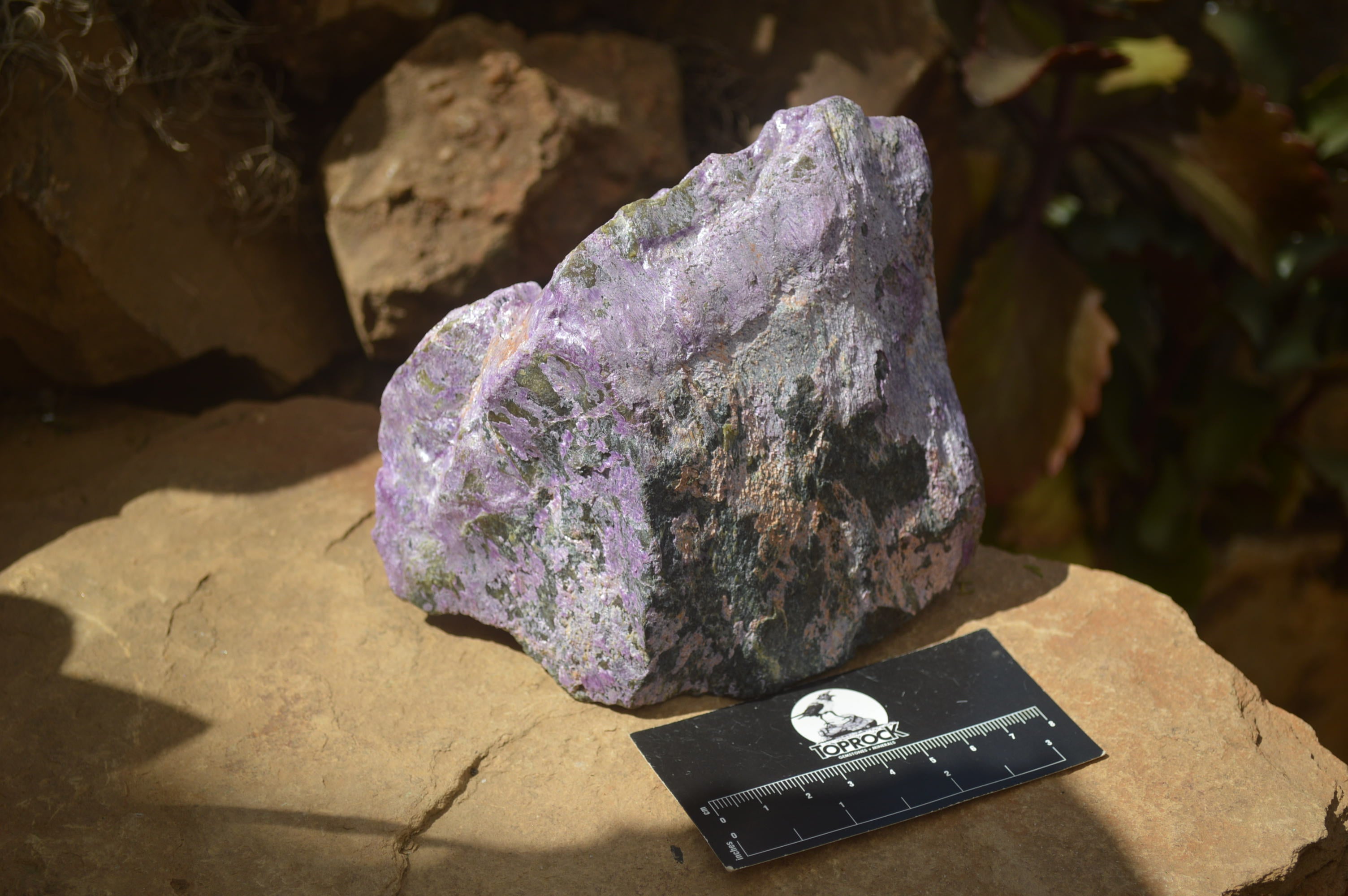 Natural Rough Stichtite & Serpentine Specimens x 2 From Barberton, South Africa - Toprock Gemstones and Minerals 
