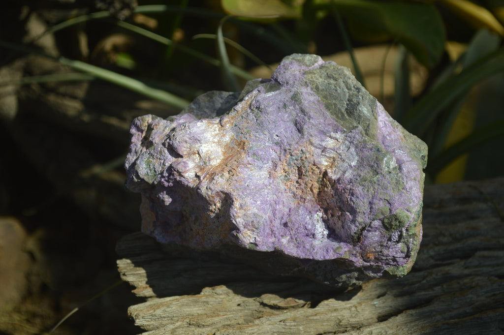 Natural Rough Stichtite & Serpentine Specimens x 2 From Barberton, South Africa - Toprock Gemstones and Minerals 
