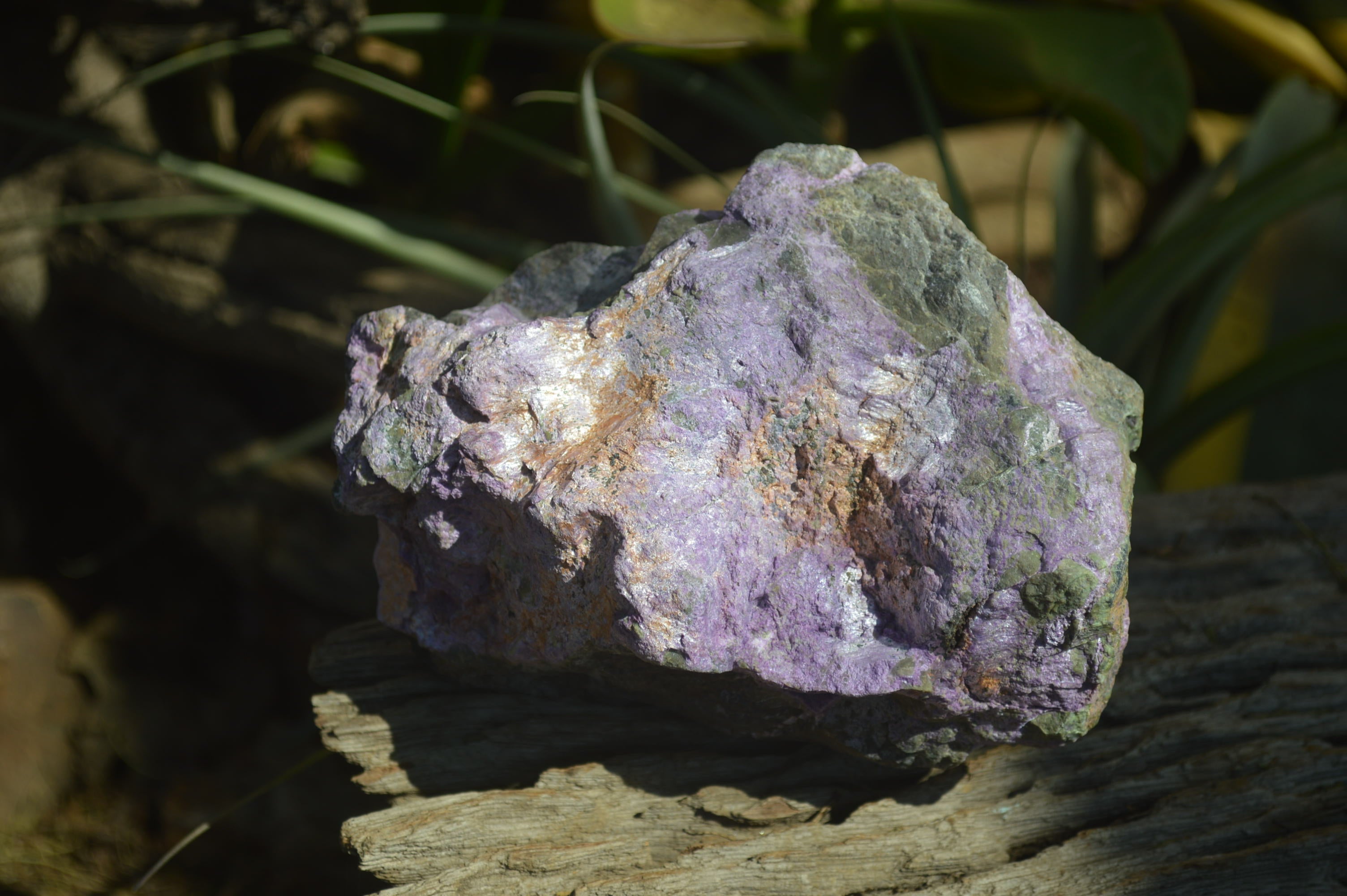 Natural Rough Stichtite & Serpentine Specimens x 2 From Barberton, South Africa - Toprock Gemstones and Minerals 