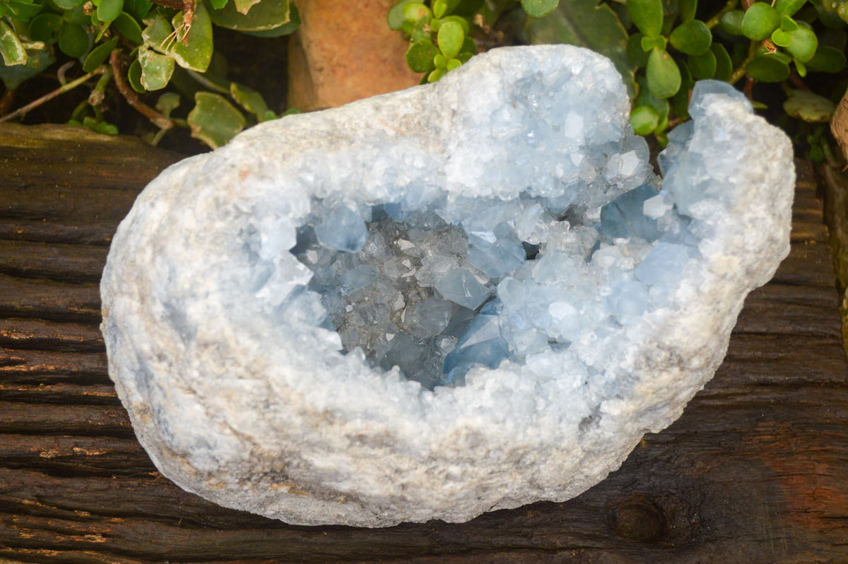 Natural Blue Celestite Geode Specimen  x 1 From Sakoany, Madagascar - Toprock Gemstones and Minerals 